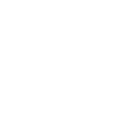 logo-image